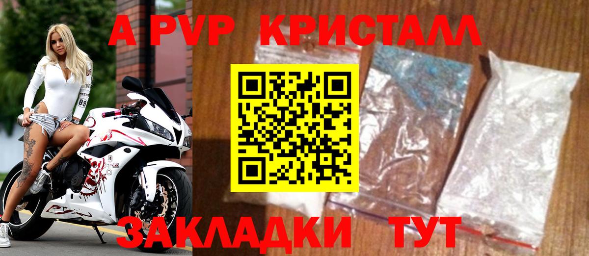 APVP СК Губкинский