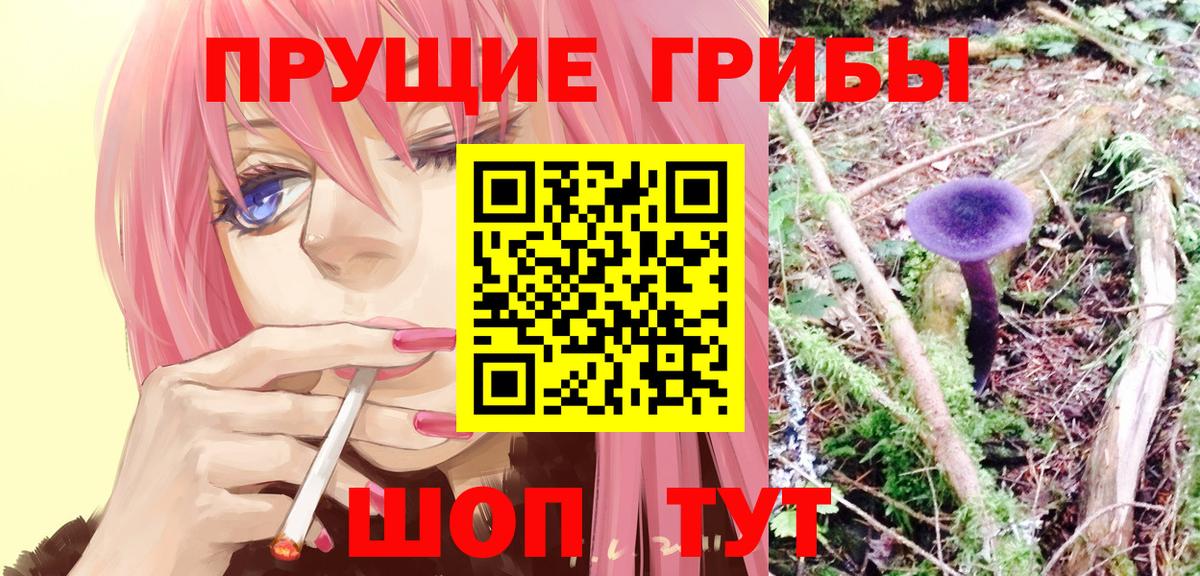 Псилоцибиновые грибы прущие грибы Губкинский