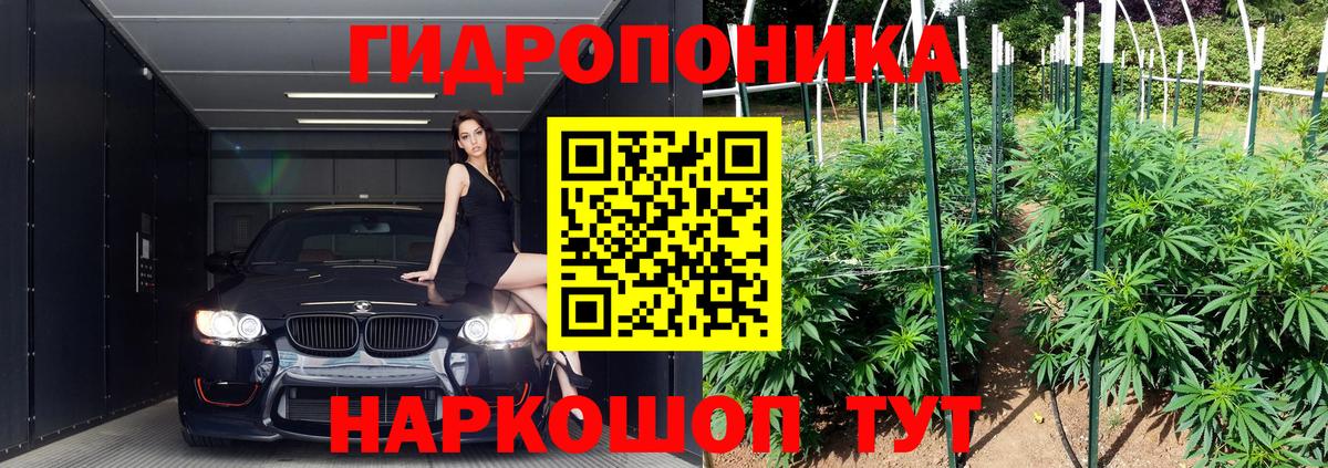 Бошки марихуана Bruce Banner  Конопля THC 21%  Вход с VPN  Губкинский  Бошки марихуана конопля 